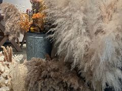 -漾花汐·西餐·下午茶(苏州湾歌林公园店)