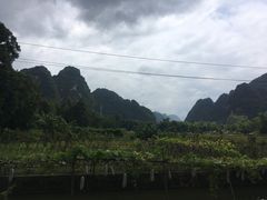 -明仕田园