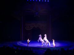 -珠海横琴长隆《卡卡虎奇遇记》