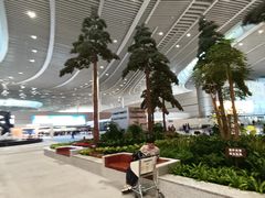 -青岛胶东国际机场