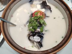 千岛湖浓汤鱼头-全乐鱼馆·淳牌有机鱼直营店