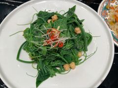 清香南瓜尖-巴依老爷新疆美食(清华东门店)
