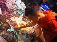 -沈阳海洋探索中心