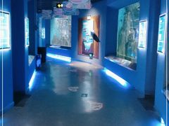-石家庄海洋公园