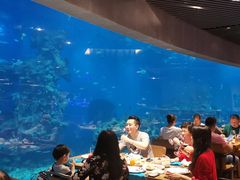-海棠湾洲际-涛·海底餐厅·美人鱼·自助餐·海底隧道