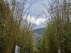 -蝴蝶泉公园