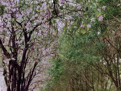 -南丰汇(新港东路店)