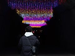 -龙湾潭国家森林公园