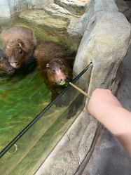 -Zoolung Zoolung动物主题公园(海信广场店)