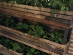 -辛香汇(大华第一坊店)