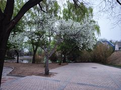 -北京世界公园