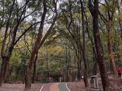 -惠山国家森林公园