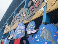 -泉城欧乐堡海洋极地世界
