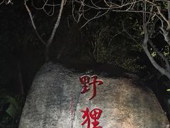 -野狸岛