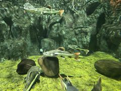 -商丘市人民公园