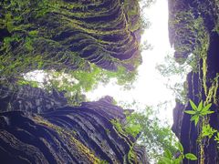 -梭布垭石林景区