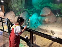 -酷嗒动物文化乐园(cutezoo西溪乐天城店)