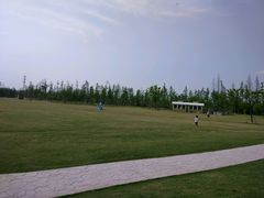 -上海长兴岛郊野公园