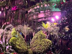 -正佳雨林生态植物园