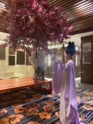 -盘子女人坊生日照·摄影馆(浦东店)