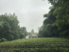 -敬亭山风景名胜区