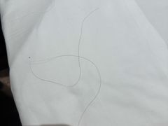 -凯嘉酒店(深圳国际会展中心店)