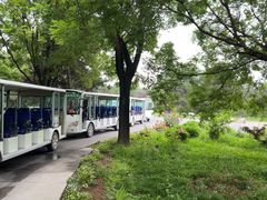 -秦始皇帝陵博物院-丽山园