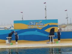 游乐设施-秦皇岛乐岛海洋王国