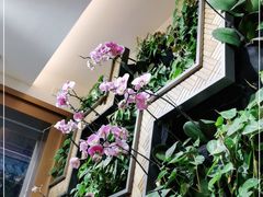 -Peet's Coffee皮爷咖啡(豫园店)