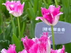 -国家植物园