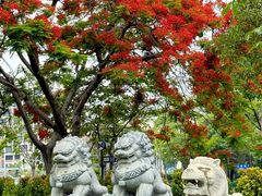 -厦门大学(思明校区)
