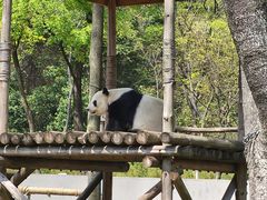 -柳州市动物园