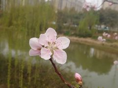 -江南大学(蠡湖校区)
