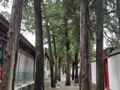 -北京颐和宾馆