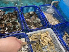 -恭喜上堓砂锅焗·海鲜大排档(闵行龙湖店)