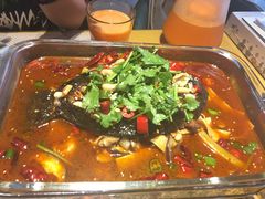 -素虎小呆鸟(西二旗店)