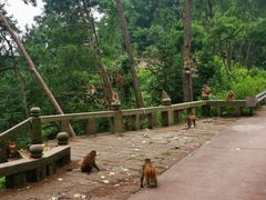 -重庆雨台山风景区