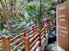 -滴水岩森林公园