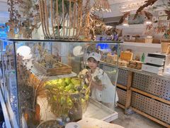 -野草莓自由市场
