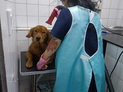 -拜鲁耶动物诊疗中心·宠家动物医院