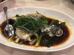 -新南华大酒店(长寿店)