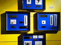 -上海昆虫博物馆