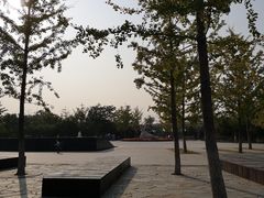 -永定河休闲森林公园