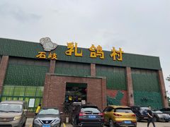-石岐乳鸽村(南海第三分店)