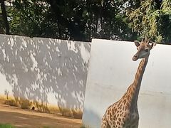 -昆明动物园