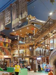 -卡通尼·Safari非洲探索乐园·生日会(金桥国际商业广场店)