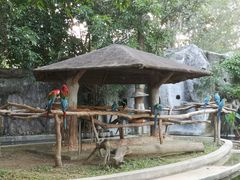 -清迈夜间动物园