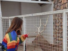 -J Create城市露营咖啡·简餐·宠物(上海动物园店)