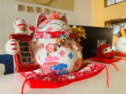 -JNK皮肤管理中心