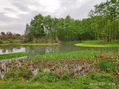 -桤木河湿地公园